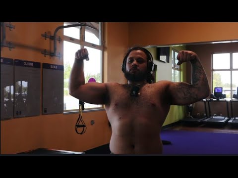 The Bulk Day 79 Arms