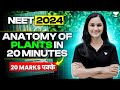 Anatomy Of Plants Revision In 20 Minutes 20 Marks पक्के NEET 2024 Dr Gargi Singh