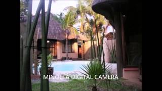 preview picture of video 'Afrikaya Guesthouse Accommodation St Lucia South Africa'