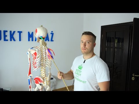 Crick jak wiele podań Jak rower pompują mięśnie