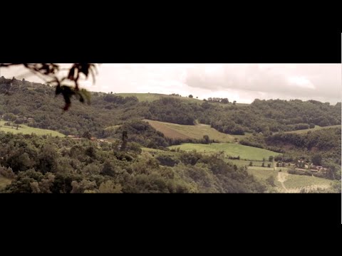 "Rambling Bhoys" - Uncle Bard & The Dirty Bastards