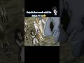 Gajeel S Dad Disses Him After 7 Years Fairytail Anime