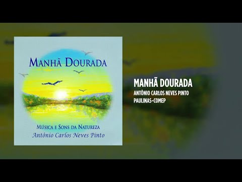 A Natureza video