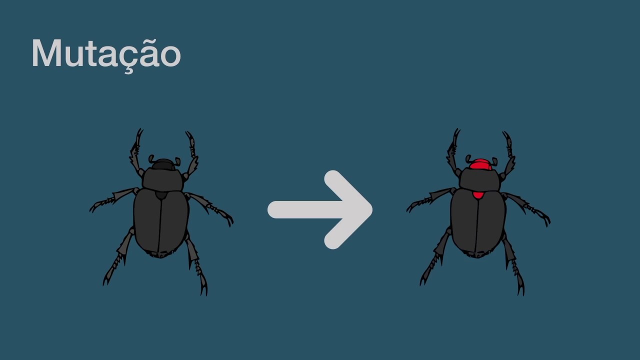 Introdução ao Algoritmo Genético - Parte 1