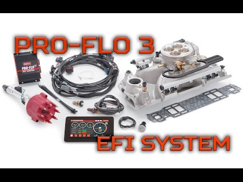 Pro-Flo 3 EFI System