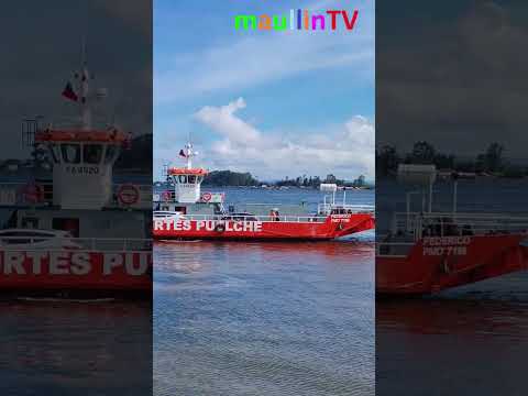 El exuberante río #Maullín, nos muestra que es hermosa la naturaleza, #maullin #regiondeloslagos