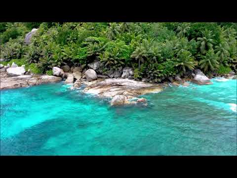 Anas otman X Taoufik Blue Diamond