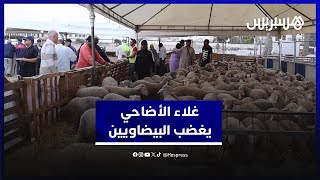 "الدرويش مايعيدش".. بيضاويون يشتكون من غلاء أضحية العيد thumbnail