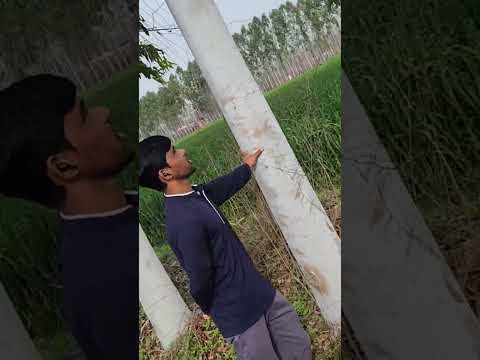 p,23 safeda se kamaye lakho rs ,,😯😯😯. shorts video 2