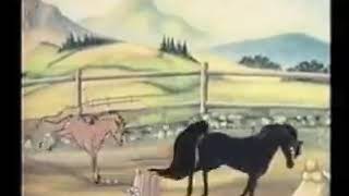 Cuatro Caballos - Bronco