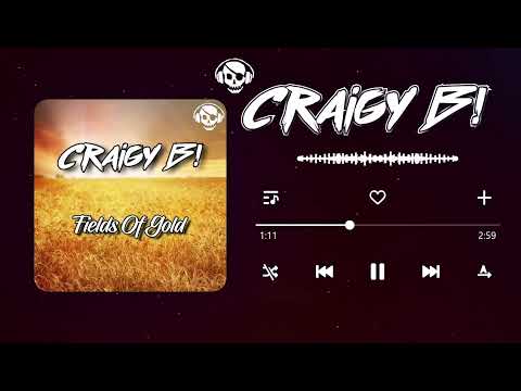 CRAIGY B! - FIELDS OF GOLD (EARLY WIP)