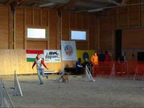 2012.11.11.-Nemzeti Bajnokság- Roxy&Adél KA