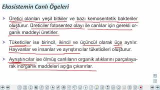 Eğitim Vadisi 11.Sınıf Coğrafya 2.Föy Biyoçeşitliliği Etkileyen Faktörler 2 Konu Anlatım Videoları