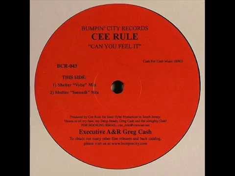 Cee Rule - Can You Feel It (Shelter 