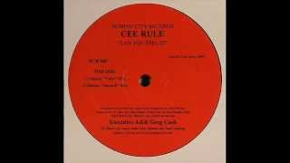 Cee Rule - Can You Feel It (Shelter 