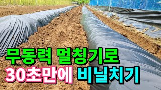 김장배추 3줄 획기적인  비닐멀칭 / 무동력 비닐멀칭 / Easy and fast Kimchi Cabbage…