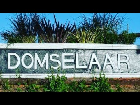 CONOCE DOMSELAAR EN 1 MINUTO
