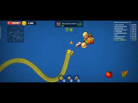 cacing pita Alaska makan rakus(2)