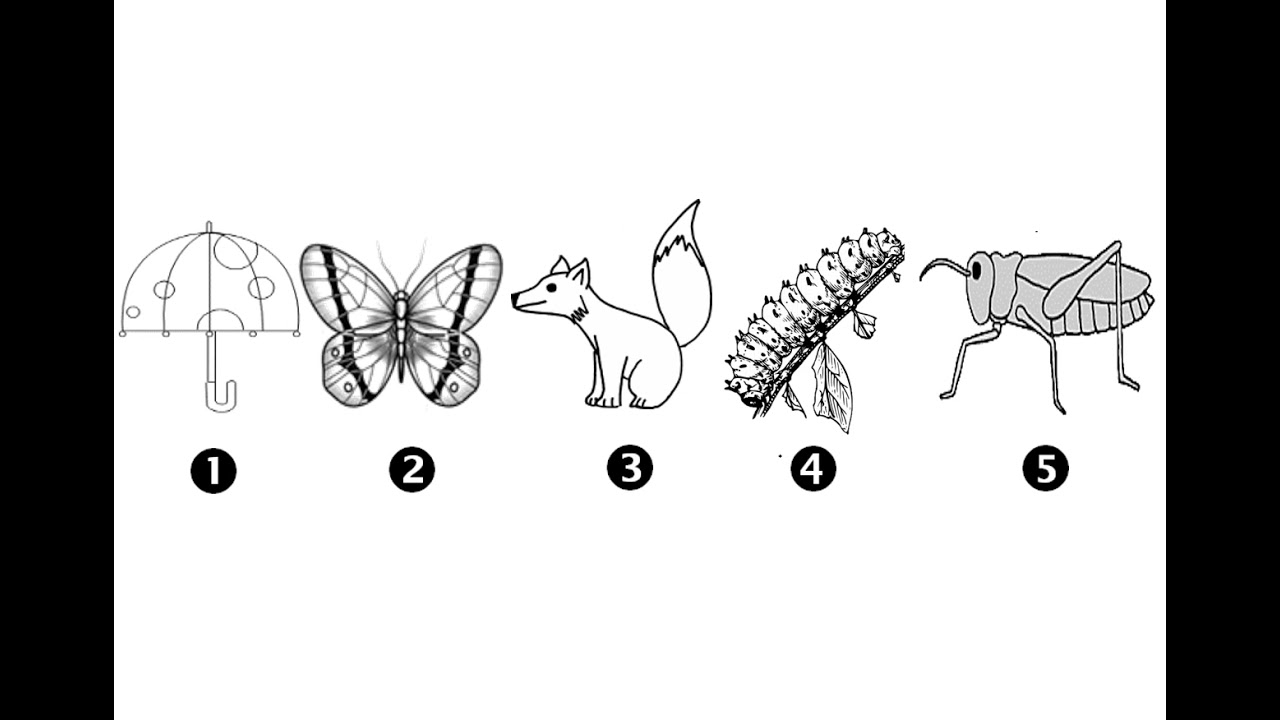 Grade 2 Worksheet: Part A