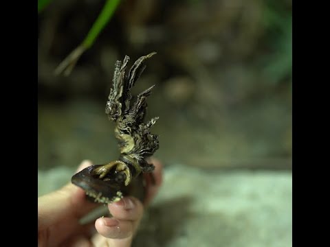 คลิกเพื่อดูคลิปวิดีโอ