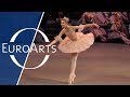Piotr Tchaikovsky: The Nutcracker - Ballet in two ...