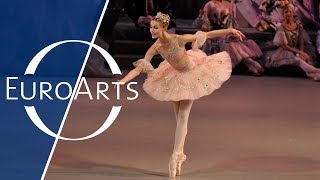 Piotr Tchaikovsky: The Nutcracker - Ballet in two acts (HD 1080p)