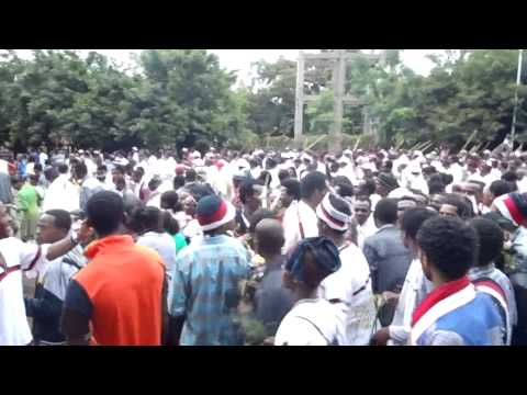 Finfinneen Handhuura Keenya hin kenninu murree (Irreecha 2014)