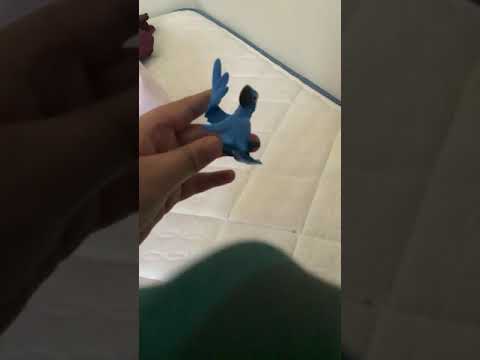 Not exactly lovebirds:Rio Reenactment HD