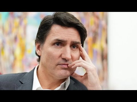 Lilley Unleashed Nope, A Petition Won'T Get Rid Of Justin Trudeau
