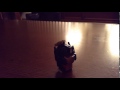 Transformers Alt Modes Optimus Stop Motion Short