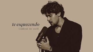 Te Esquecendo (Lembrei De Você) Lyrics English Translation