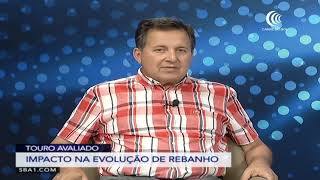 Miniatura do vídeo