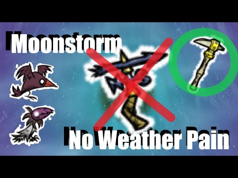 Wagstaff Moonstorm No Weather Pain (in winter)