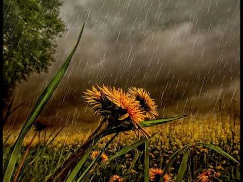 Vivaldi - RV 357:3 - Concerto Op. 4 no. 4 in A minor- La Stravaganza - Rachel Podger