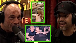 David Blaine Kissed a King Cobra and Had is Dislocated Shoulder Set During a Show