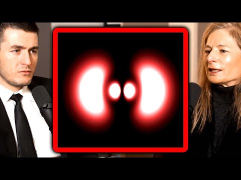 Do electrons exist when not observed? | Lisa Randall and Lex Fridman