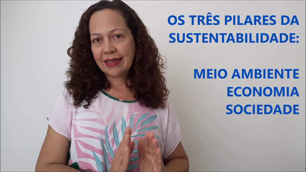 Os pilares da sustentabilidade