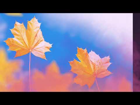 Surrender ✓ Bassrockerz Presents Elena - ( DJ Gollum Radio Mix )