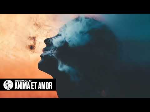 Seismal D - Anima et Amor (Continuous Mix) | Steyoyoke
