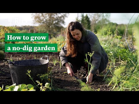 How to grow a No-Dig Garden | The RHS