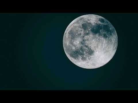 Korrekter Kollege - Moonshine