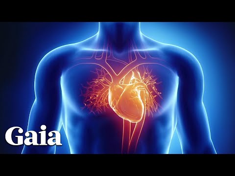 This Powerful Technique Facilitates Heart-Brain Coherence