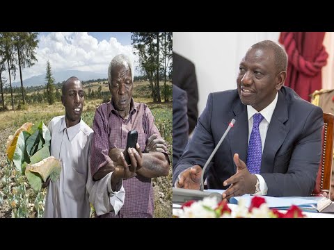 , title : '"Hii Mbolea ya Subsidy haitusaidii mimea imekataa" Kenyan farmers cry'