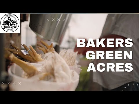 Chicken Processing at Bakers Green Acres **GRAPHIC**