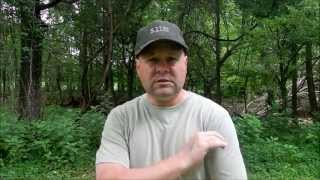 My First Gun Show In 6 Months