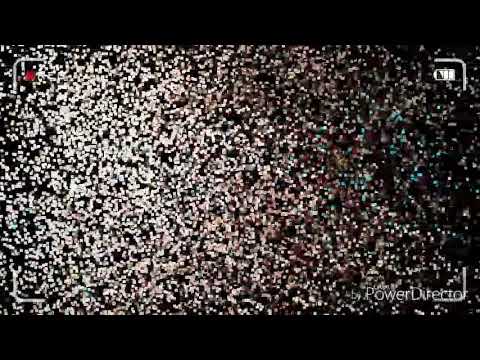 Dzenan loncarevic tugo moja