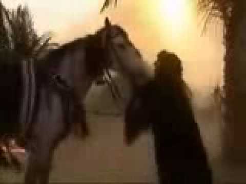 Shehadeti i Imam Husejnit a.s.