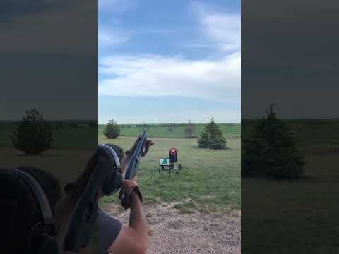 Mossberg Overview