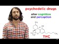 Illicit Drugs: How Do They Work?