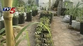 Retired Agriculture Employee's Garden Terrace - Annapurna
